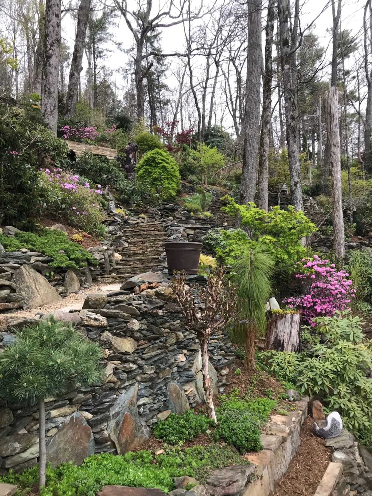 Terraced slope